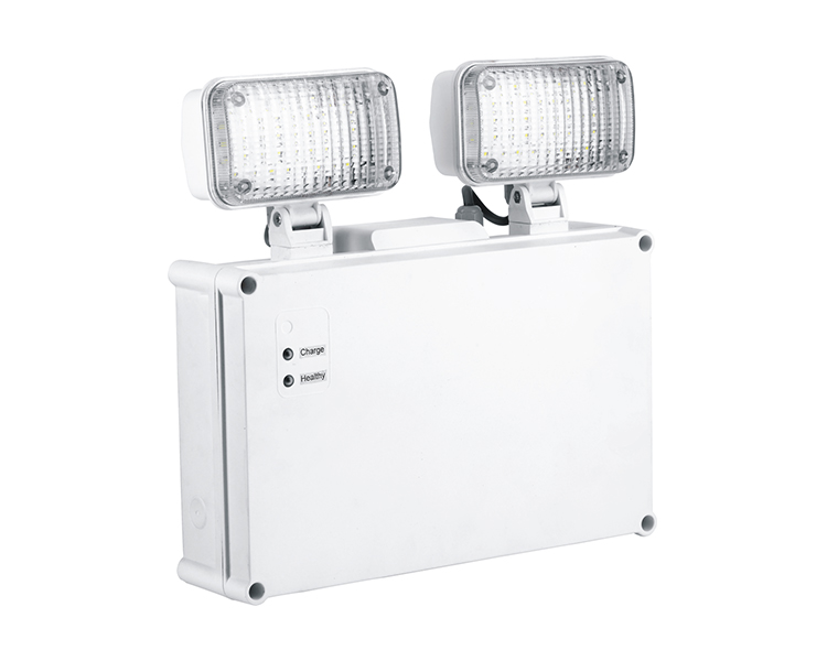 2921 Luce di emergenza a doppia spot IP65