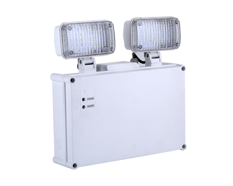 2921 Luce di emergenza a doppia spot IP65
