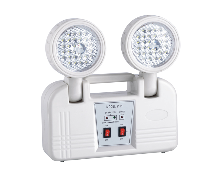 2923 LED LED Twin Spot Emergency Light
