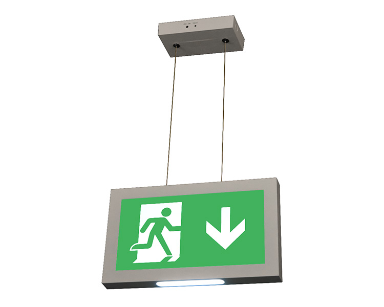 Segnali di uscita montati su soffitto sospeso a cavo Le2915-B