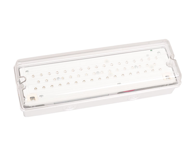 LE502L IP65 Luce di emergenza impermeabile 50DED