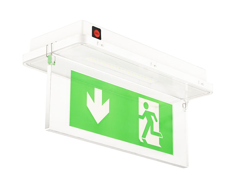 Le515-11 Luminaires impermeabile 11ED 11ED-IP65