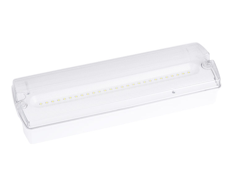 AD500 AD500 27ED impermeabile di emergenza Light-IP65