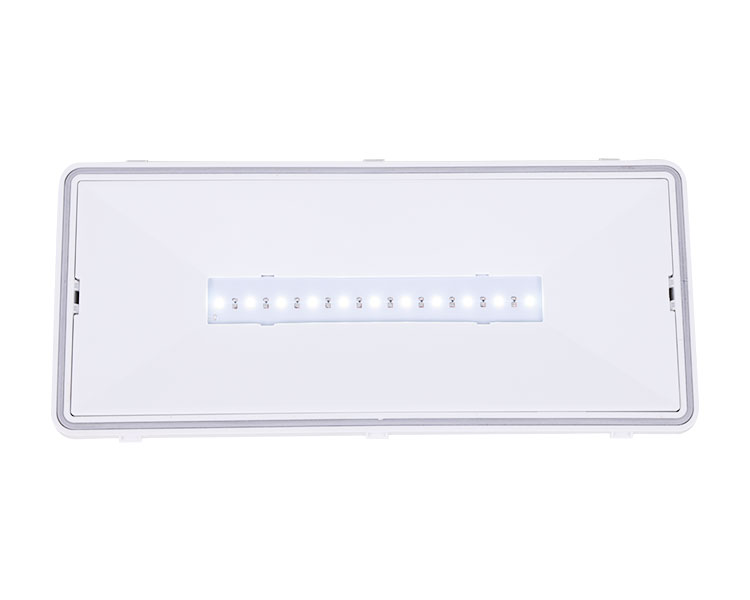 Le515-11 Luminaires impermeabile 11ED 11ED-IP65