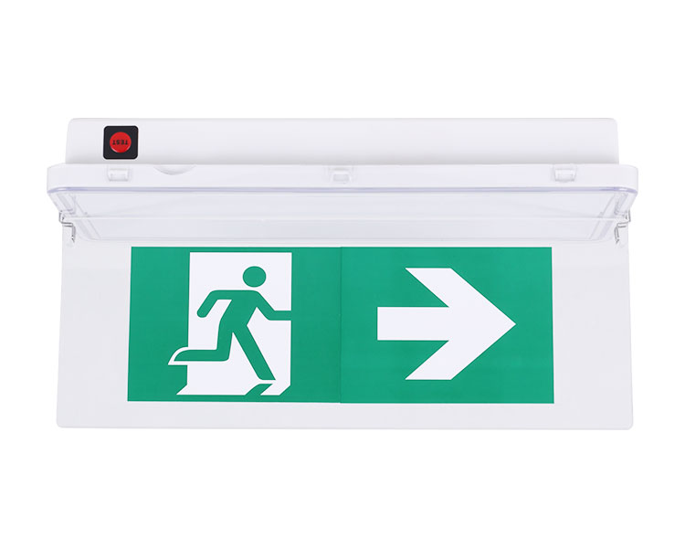 Le515-11 Luminaires impermeabile 11ED 11ED-IP65