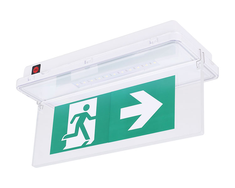 Le515-11 Luminaires impermeabile 11ED 11ED-IP65
