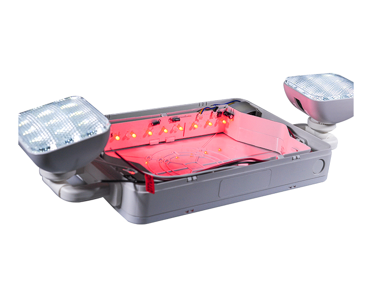 Segno di uscita di emergenza combo a LED JLEC2BCW-BI con teste a LED