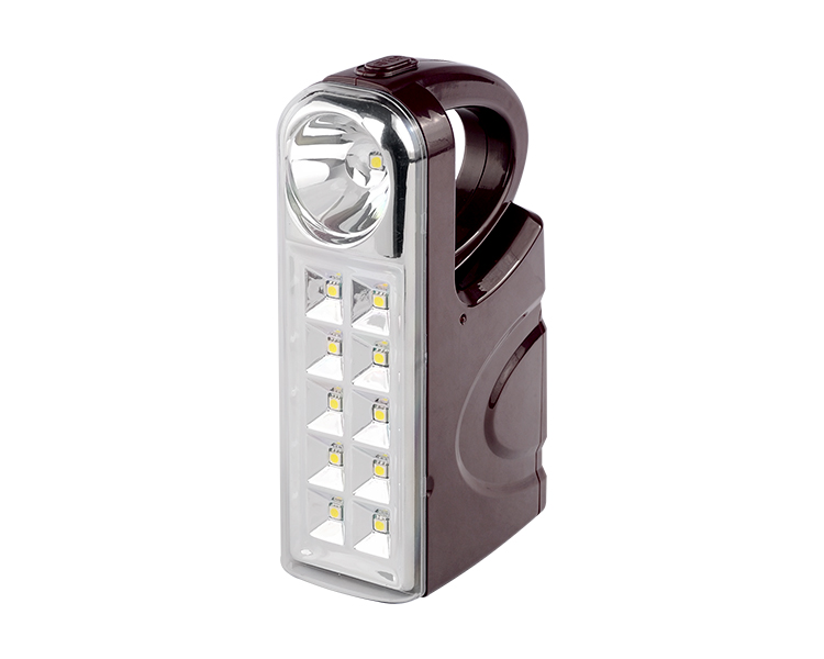 420S-11 1 （SMD5050） +10 （SMD5050） PC Potente lampada portatile a LED